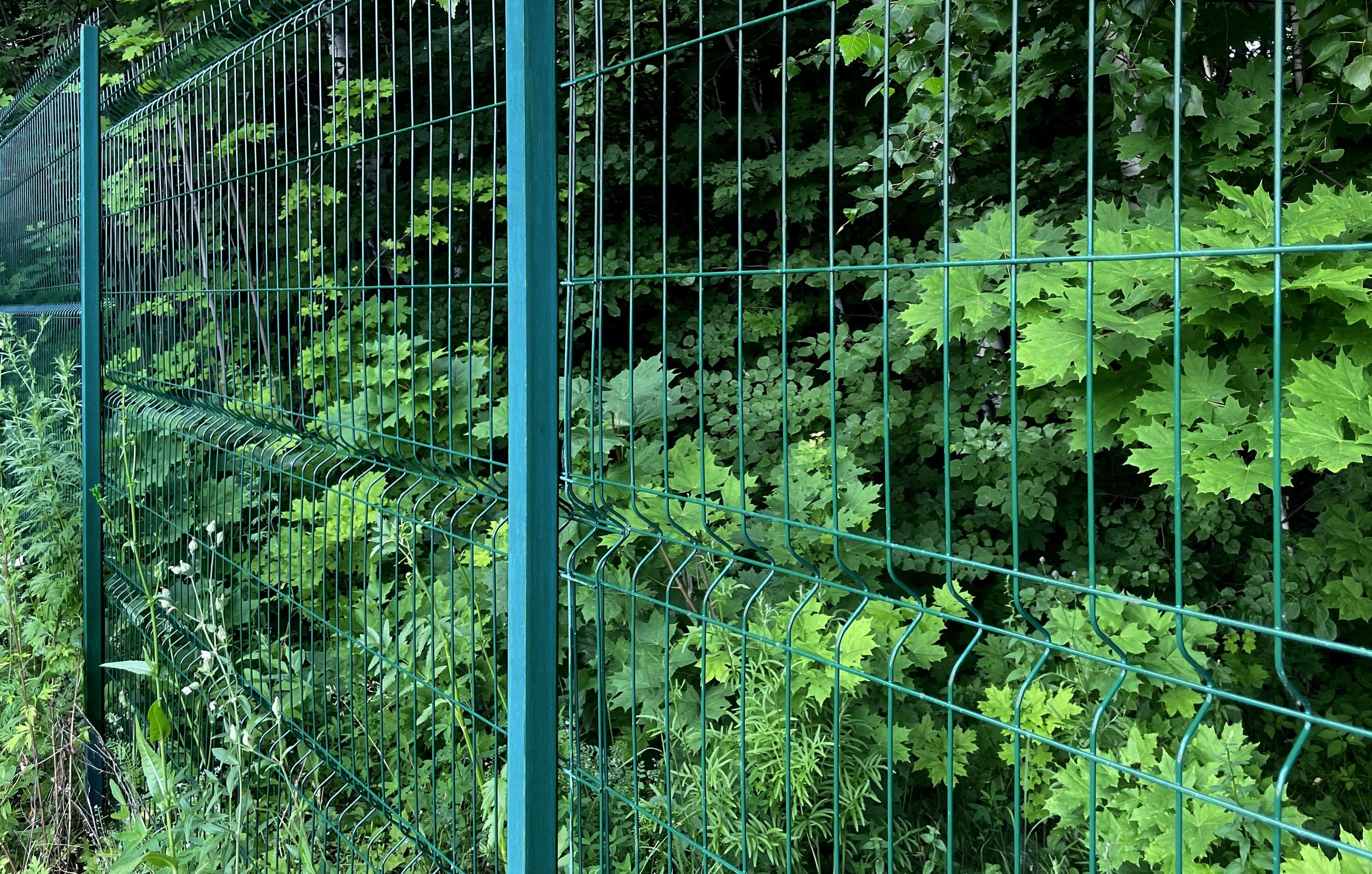 Ограждения для лесничеств