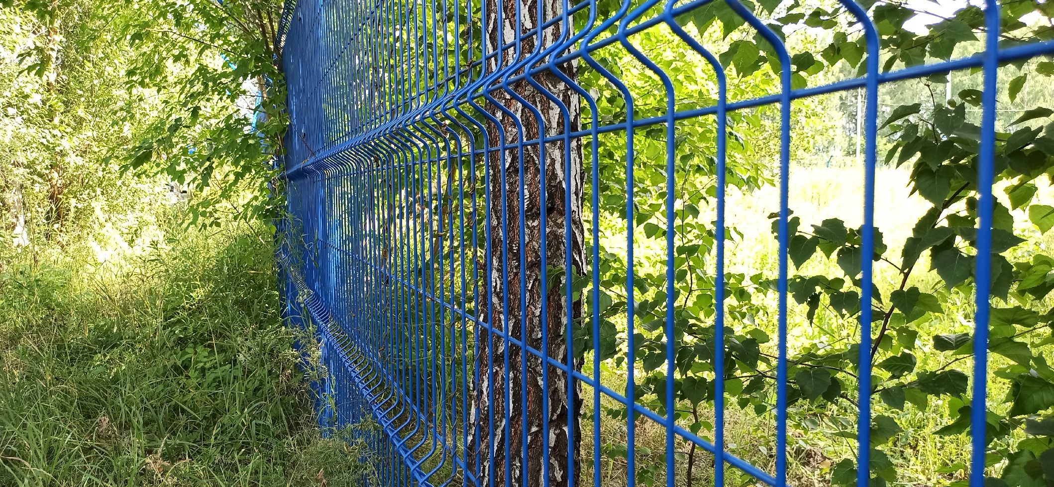 Ограждения для парков